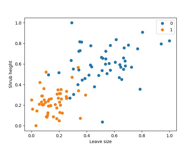 preprocessed_shrub_dataset_plot.jpg